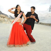 Loukyam Movie Gallery | Picture 821365