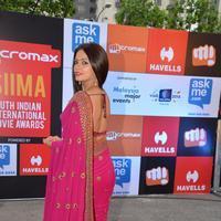 Neetu Chandra - Micromax SIIMA Awards in Malaysia Photos