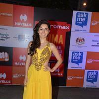 Micromax SIIMA Awards in Malaysia Photos | Picture 822801