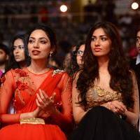 Micromax SIIMA Awards in Malaysia Photos | Picture 822875