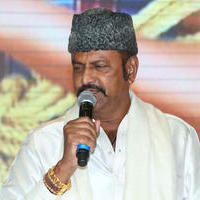 Mohan Babu - Current Teega Movie Audio Launch Photos | Picture 823414