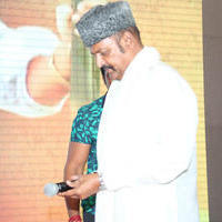Mohan Babu - Current Teega Movie Audio Launch Photos | Picture 823790