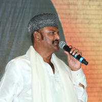 Mohan Babu - Current Teega Movie Audio Launch Photos | Picture 823801