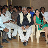 Antha Akkade Jarigindi Movie Audio Launch Stills | Picture 828102