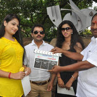 Katrina Karina Madhyalo Kamal Haasan Movie Opening Photos | Picture 828023