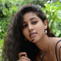 Pavani Latest Gallery | Picture 827915