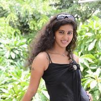 Pavani Latest Gallery | Picture 827918