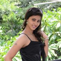 Pavani Latest Gallery | Picture 827922
