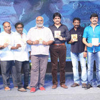 Dikkulu Chudaku Ramayya Movie Audio Launch Photos | Picture 828951