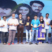 Dikkulu Chudaku Ramayya Movie Audio Launch Photos | Picture 828952