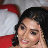 Pooja Hegde - Oka Laila Kosam Movie Platinum Disc Function Photos | Picture 829473