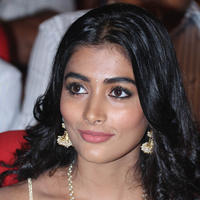 Pooja Hegde Special Gallery | Picture 829937