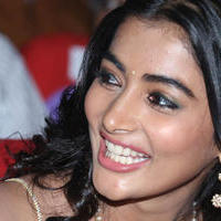 Pooja Hegde Special Gallery | Picture 829939