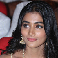 Pooja Hegde Special Gallery | Picture 829941