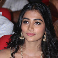 Pooja Hegde Special Gallery | Picture 829953