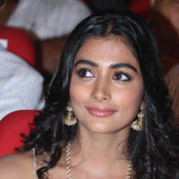 Pooja Hegde Special Gallery | Picture 829954