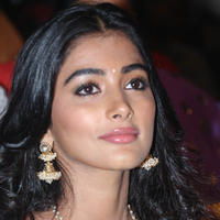 Pooja Hegde Special Gallery | Picture 829955