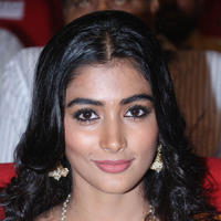 Pooja Hegde Special Gallery | Picture 829973