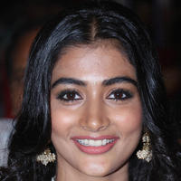 Pooja Hegde Special Gallery | Picture 829979