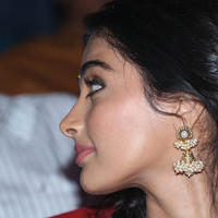 Pooja Hegde Special Gallery | Picture 829983