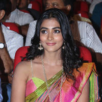 Pooja Hegde Special Gallery | Picture 829989