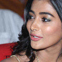 Pooja Hegde Special Gallery | Picture 830005
