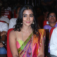 Pooja Hegde Special Gallery | Picture 830007