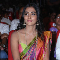 Pooja Hegde Special Gallery | Picture 830008