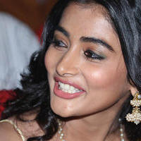 Pooja Hegde Special Gallery | Picture 830013