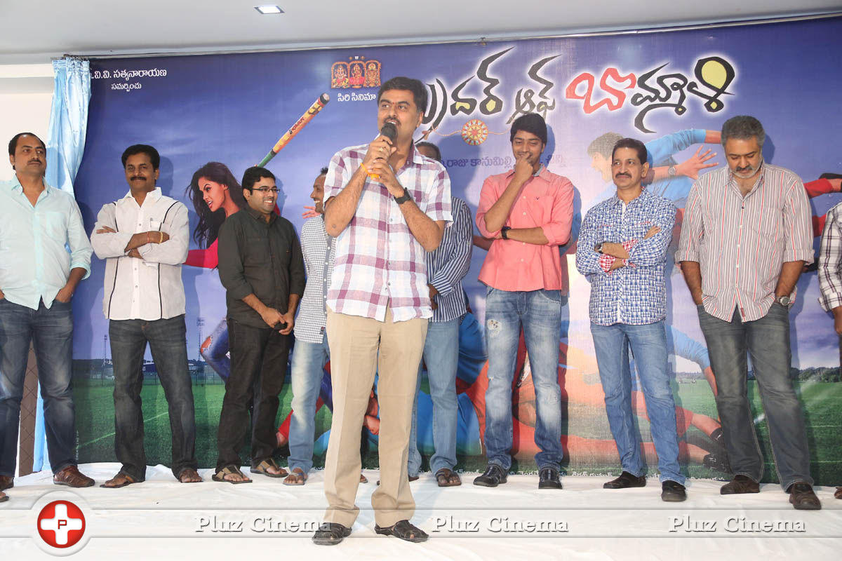 Brother of Bommali Movie First Look Launch Stills | Picture 834161